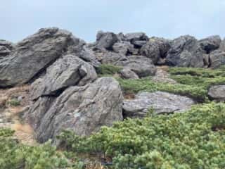 早池峰山 登山道