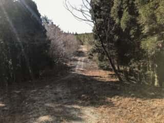 石投山 黒森山 登山道