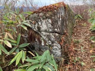 石上登山道