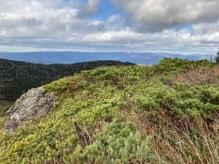 中岳登山道からの景色