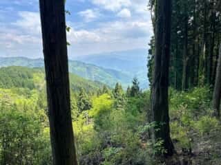 四国八十八ヶ所霊場 第65番札所 三角寺〜第66番札所 雲辺寺