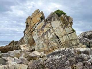 徳之島 ムシロ瀬