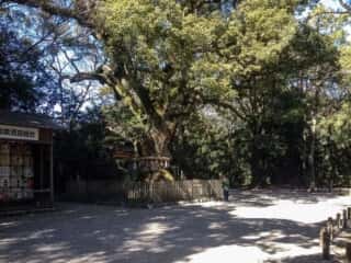 熱田神宮　参道