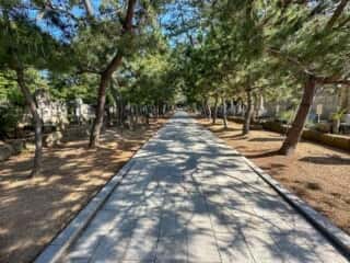 四国八十八ヶ所霊場 第80番札所 国分寺