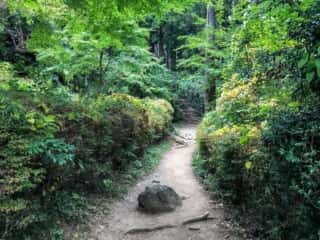 筑波山登山道