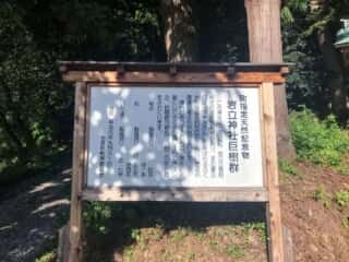 岩立神社巨樹群