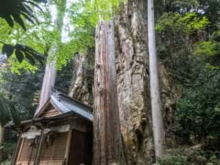 厳石神社　拝殿と磐座