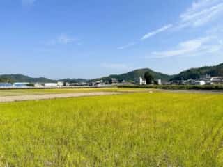 四国八十八ヶ所霊場 第21番札所 太龍寺〜第22番札所 平等寺