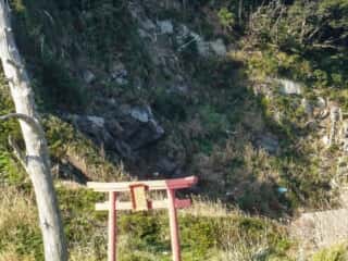 伊島の自然 弁天島の弁財天
