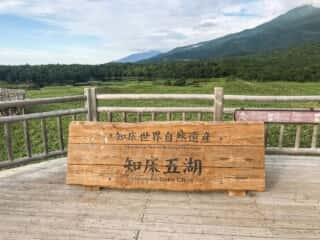 知床五湖 地上遊歩道