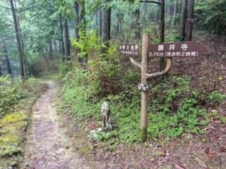 四国八十八ヶ所霊場 第11番札所 藤井寺〜第12番札所 焼山寺