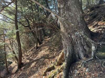 一ノ森・槍戸山