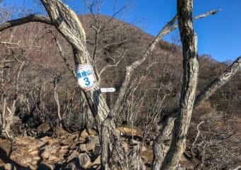 黒檜山 登山道