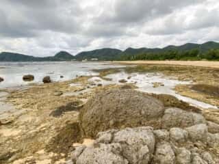 奄美大島 節田立神岩