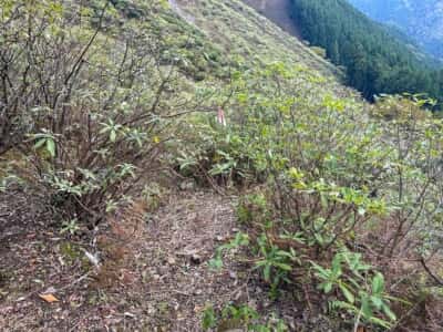 石立山