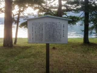 金樽いわしの話