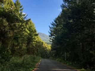 権現岳への道路アプローチ