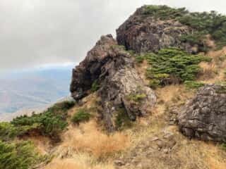 早池峰山 登山道