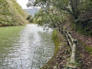 四国八十八ヶ所霊場 第41番札所 龍光寺〜第42番札所 仏木寺