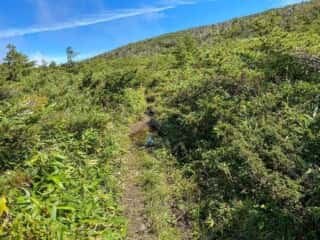 屏風岳・刈田岳 登山道