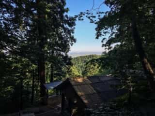 出羽三山神社 参道の景色