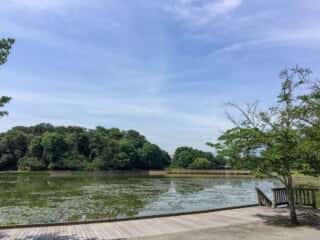 深田池　橿原神宮