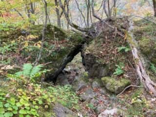 鶏頭山登山道