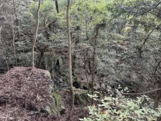 天岩戸立岩神社