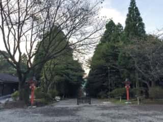 霧島神宮　表参道と二の鳥居