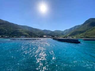 奄美大島 今里立神
