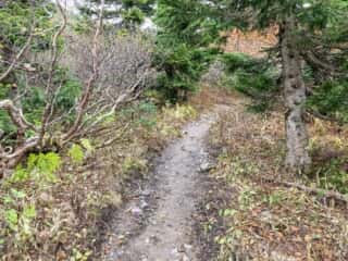 岩手山登山道