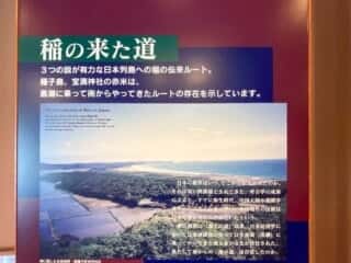種子島 たねがしま赤米館