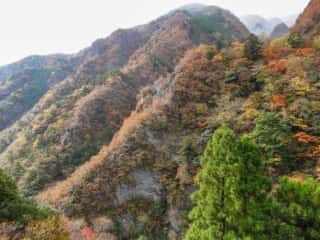 剣山スーパー林道