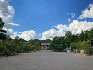 仁和寺　参道