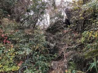 筑波山自然研究路