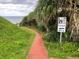 徳之島 犬の門蓋 (めがね岩＋奇石)