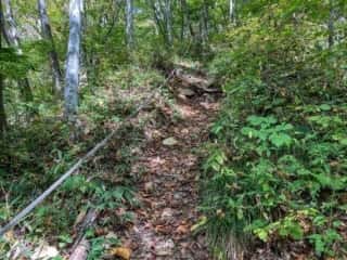 七折の滝 登山道