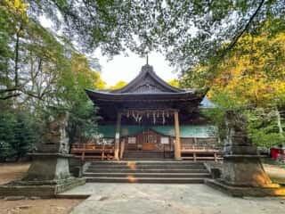 八倉比賣神社