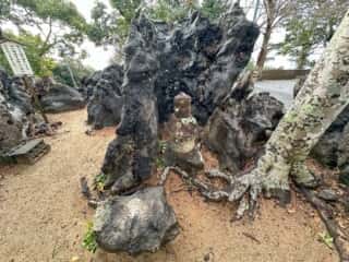 四国八十八ヶ所霊場 第32番札所 禅師峰寺