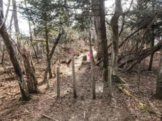 石投山 黒森山 登山道