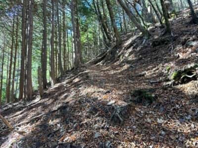 一ノ森・槍戸山