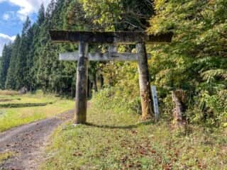 七高山登山道