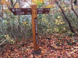 白神岳登山道