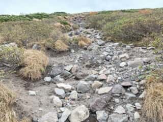 岩手山登山道