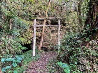 徳之島 銀竜洞