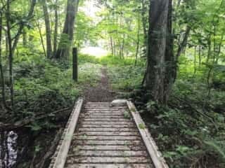 恐山 (大尽山) 登山道