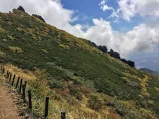 権現岳