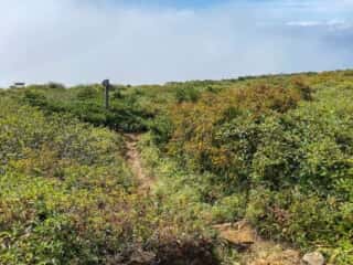屏風岳・刈田岳 登山道