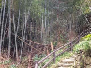 沼島 おのころ神社参道