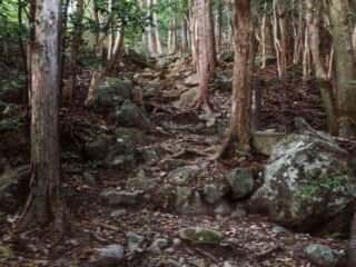 瀧尻王子宮　熊野古道